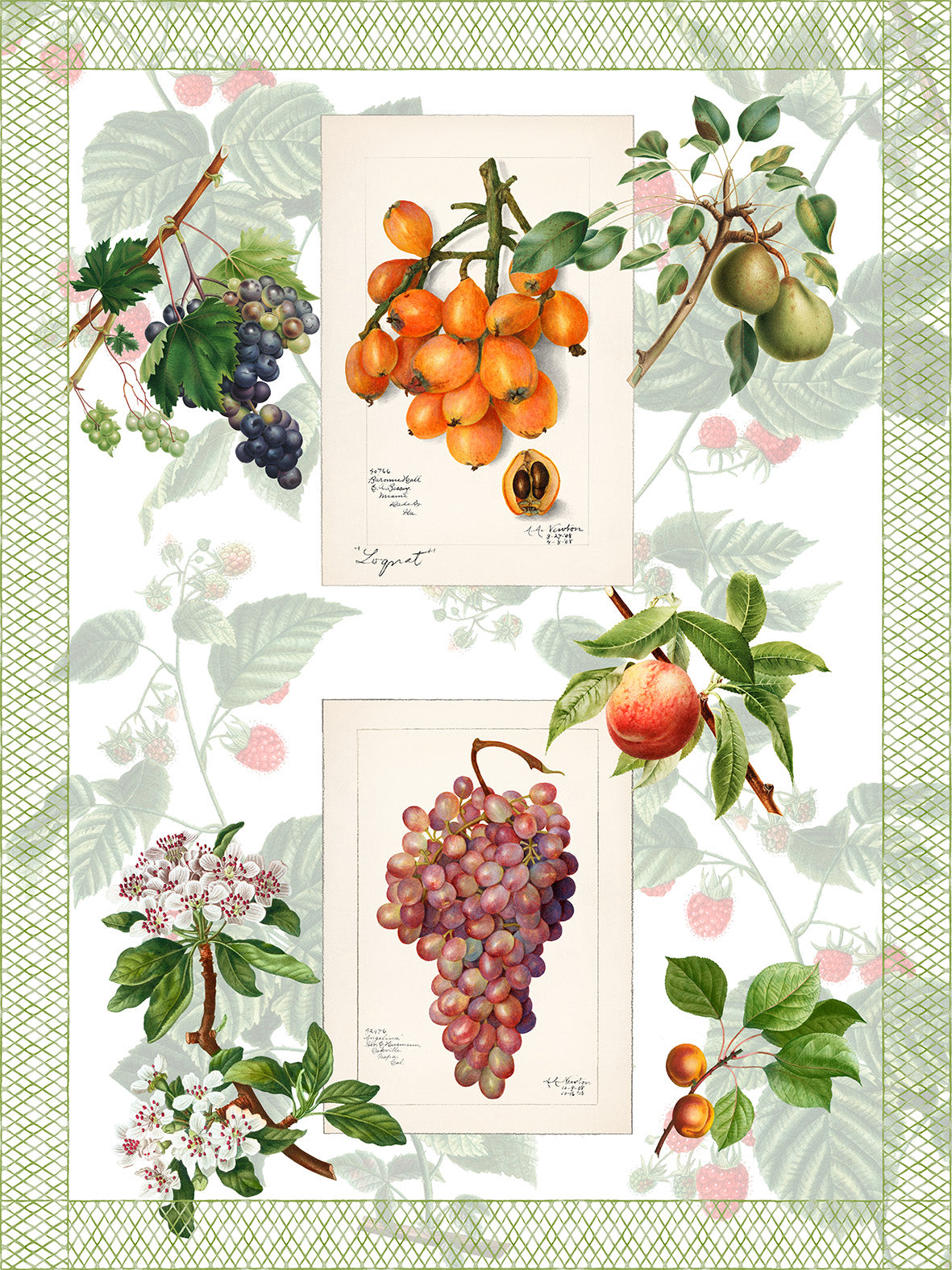 Kitchen Towels «Summer Fruit», 100% Made in Italy - The Napking