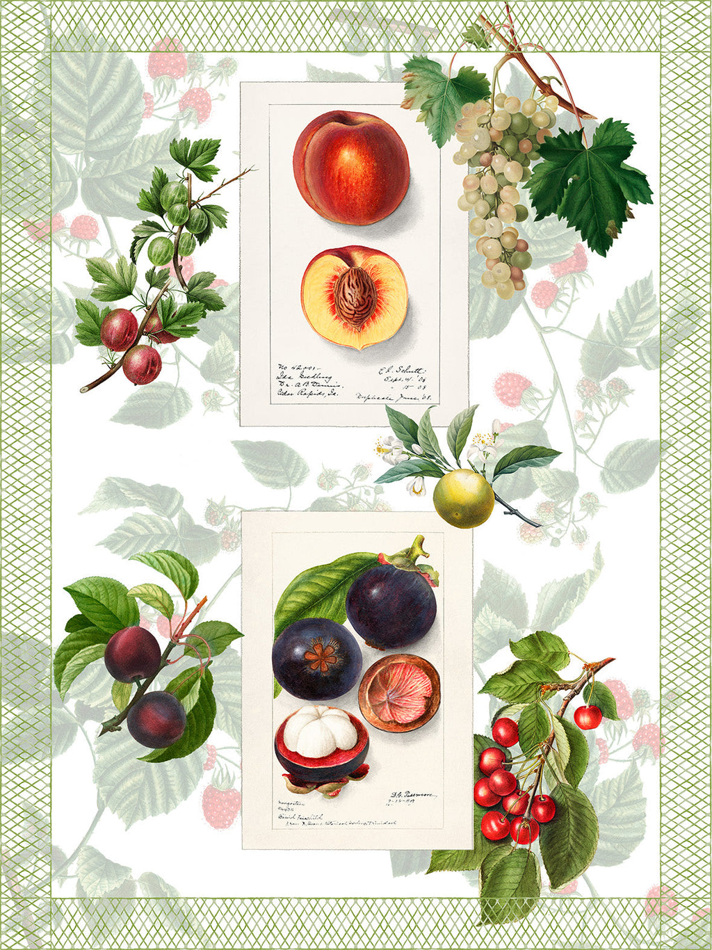 Kitchen Towels «Summer Fruit», 100% Made in Italy