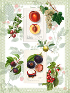 Kitchen Towels «Summer Fruit», 100% Made in Italy