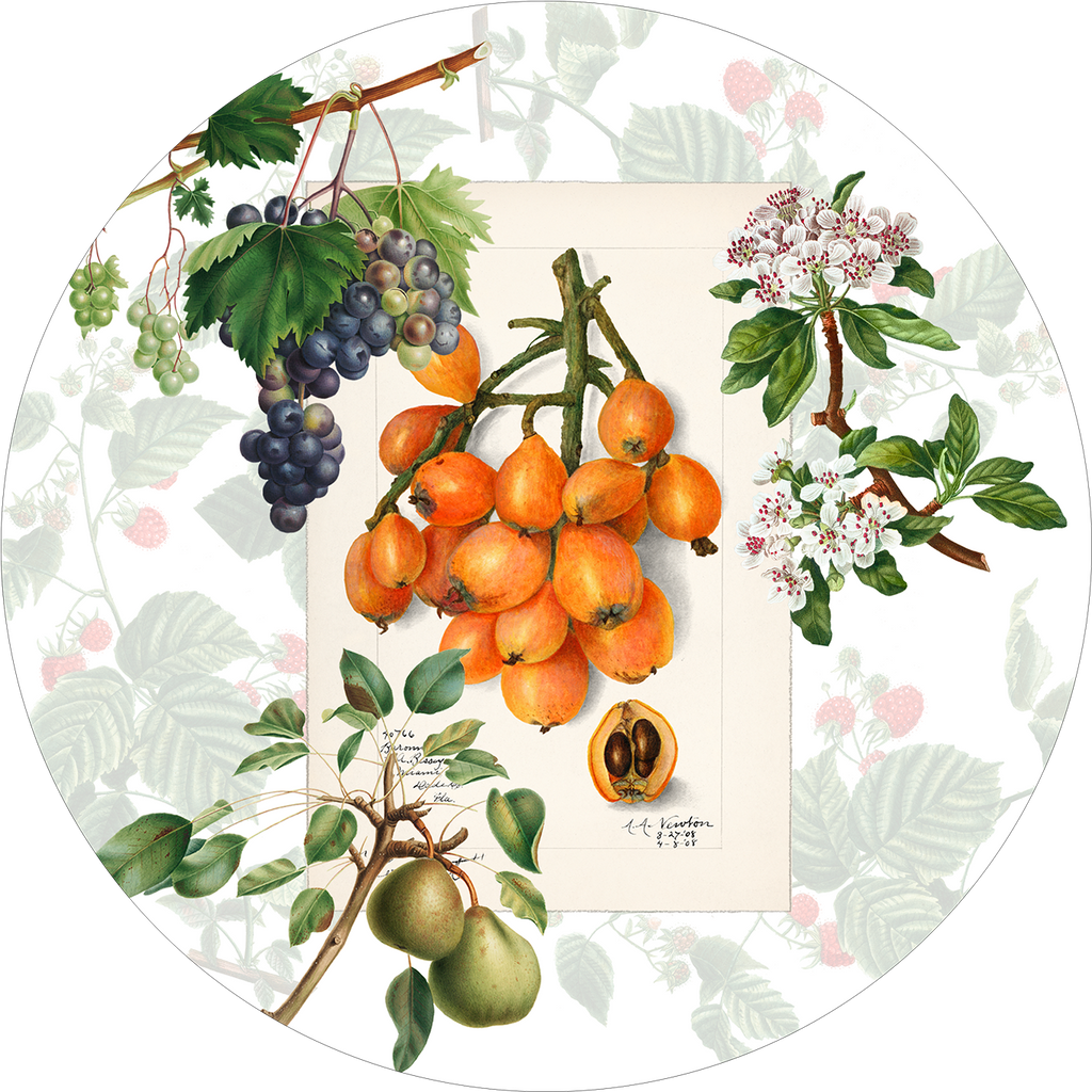 Set of 2 round hardboard placemats «Summer fruit» 100% Made in Italy - The Napking