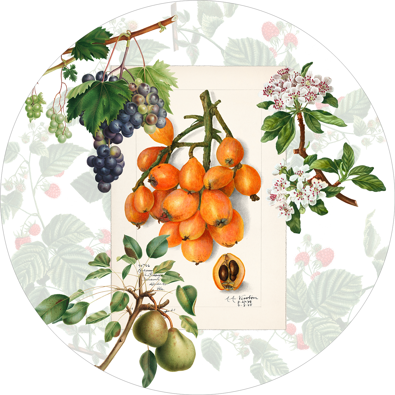 Set of 2 round hardboard placemats «Summer fruit» 100% Made in Italy - The Napking