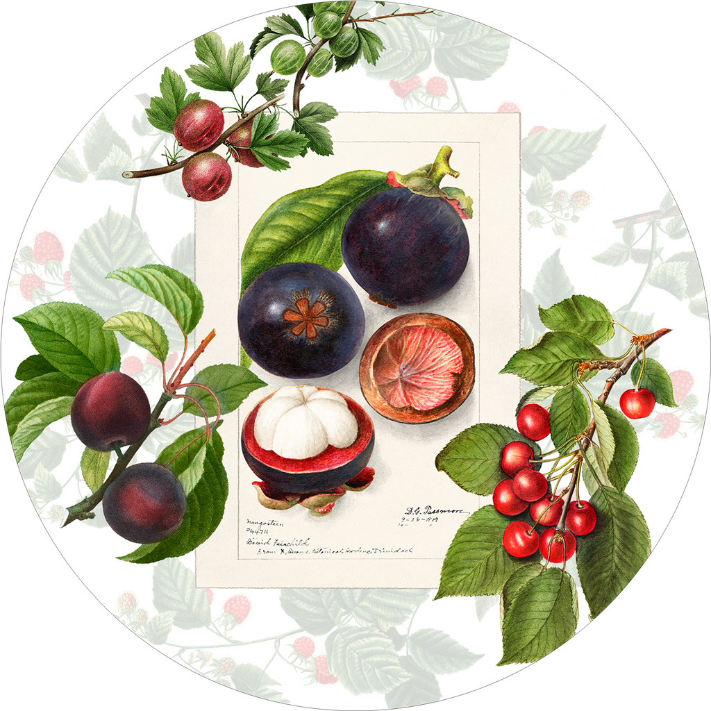 Set of 2 round hardboard placemats «Summer fruit» 100% Made in Italy - The Napking