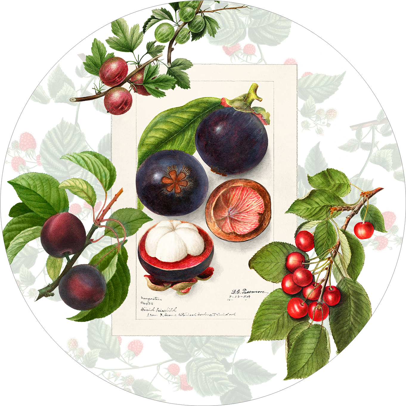 Set of 2 round hardboard placemats «Summer fruit» 100% Made in Italy - The Napking