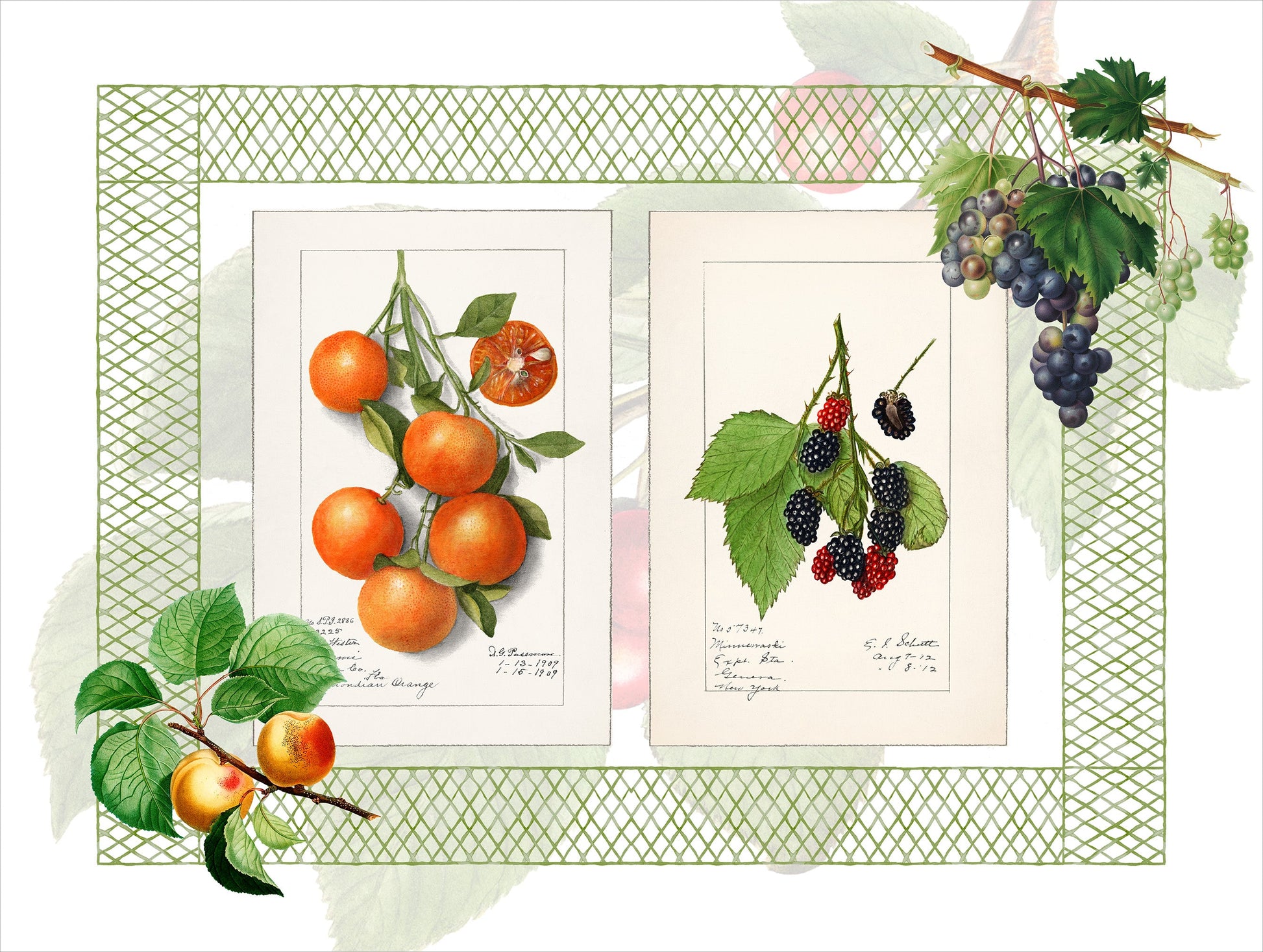 Set of 2 rectangular hardboard placemats «Summer fruit», 100% Made in Italy