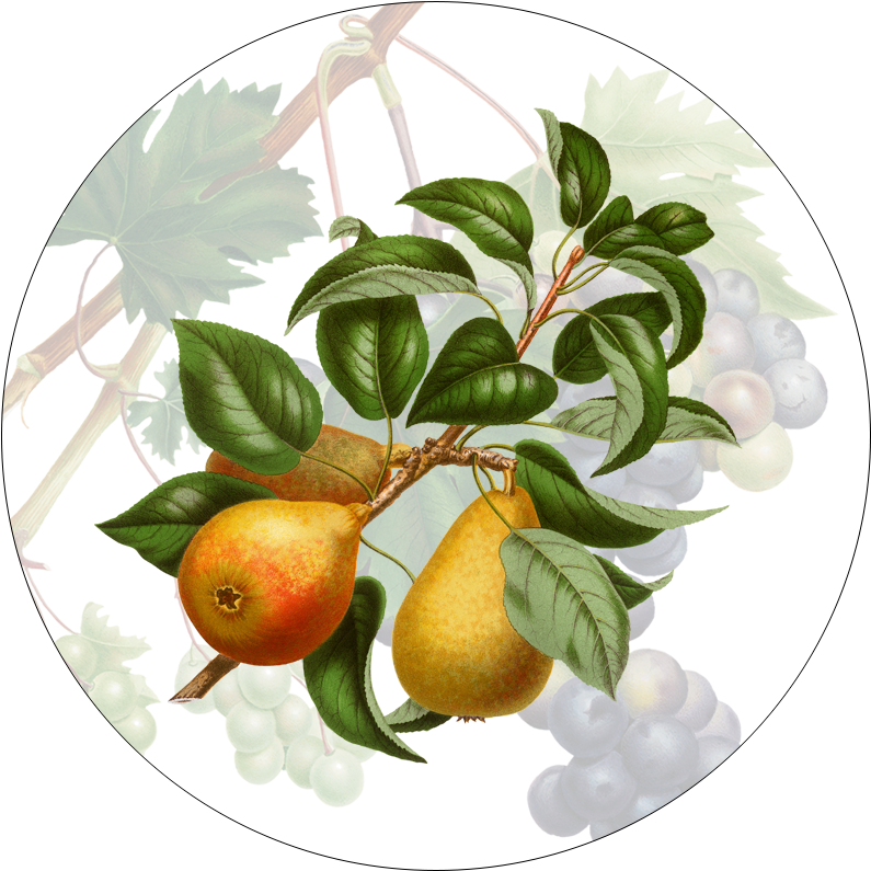 Set of 2 coasters «Summer fruit» wood and cork - 100% Made in Italy