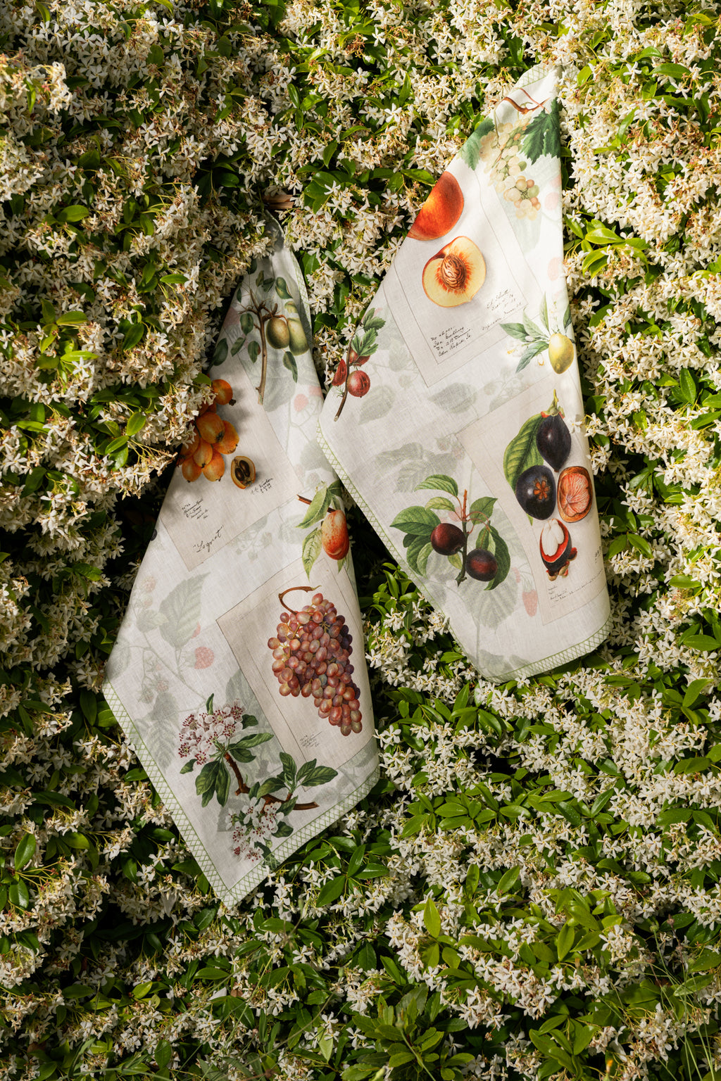 Kitchen Towels «Summer Fruit», 100% Made in Italy - The Napking