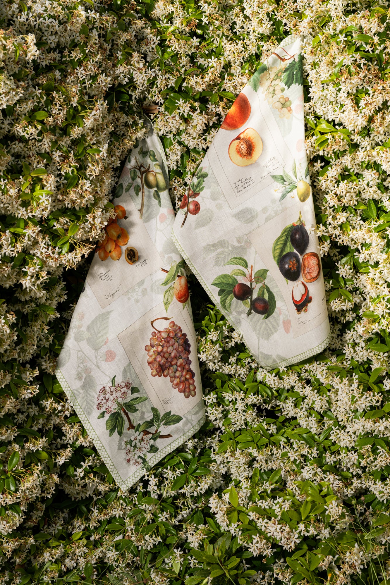 Kitchen Towels «Summer Fruit», 100% Made in Italy - The Napking