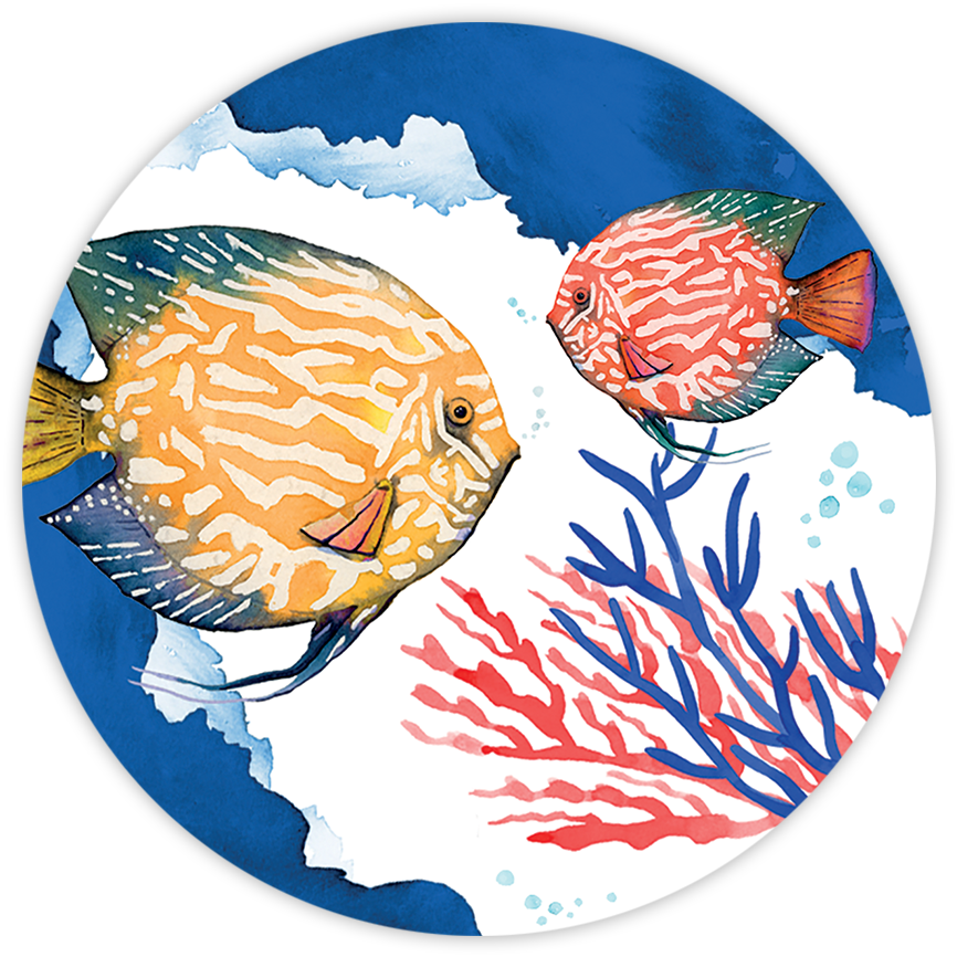 Set of 2 coasters «The Reef» wood and cork - 100% Made in Italy