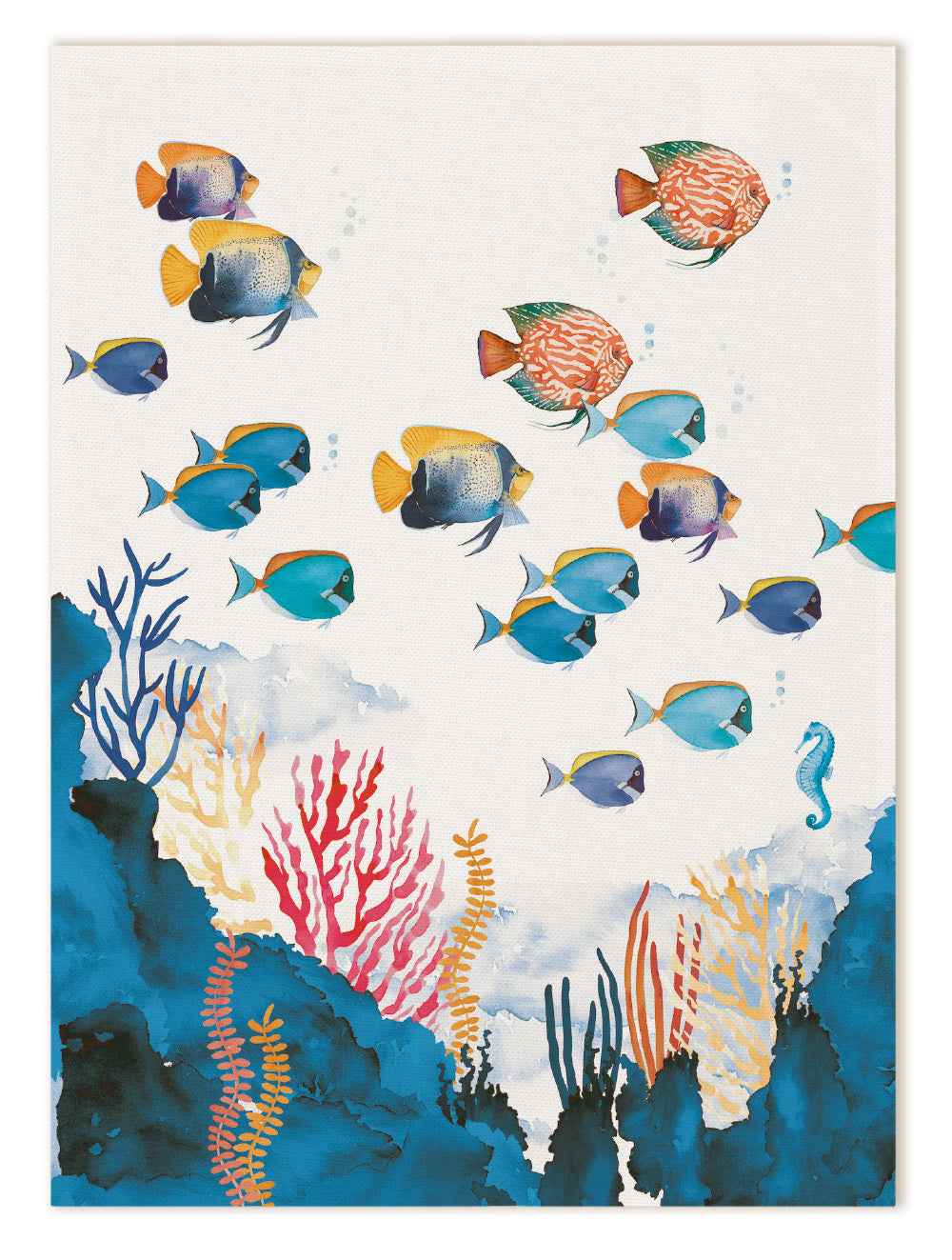 Kitchen Towels «The Reef» 100% Made in Italy