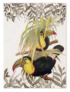Kitchen Towels «Toucans», 100% Made in Italy The Napking