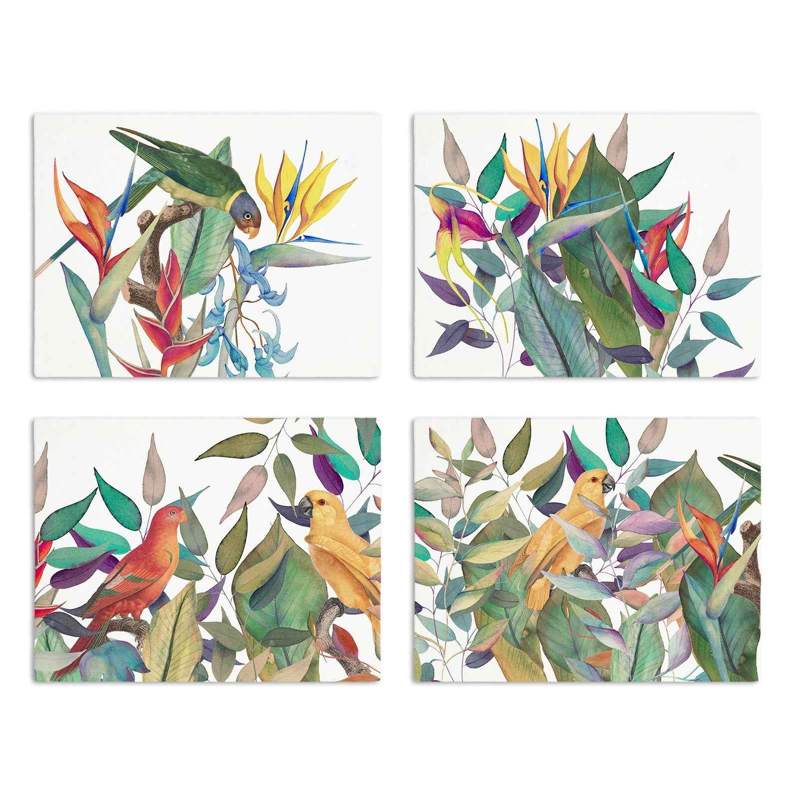 Set of 4 Placemats «Tropici» Cotton Satin 100% Made in Italy
