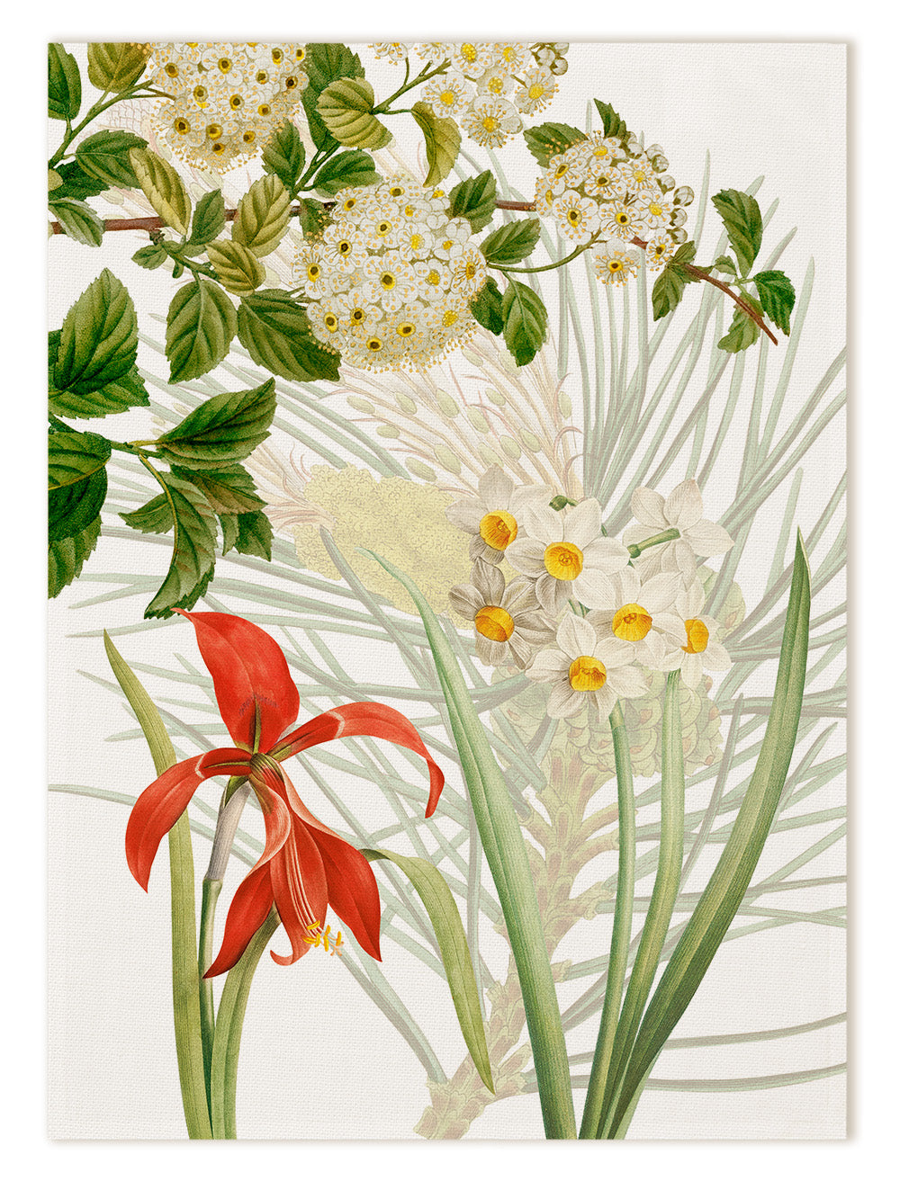 Kitchen Towels «Winter Garden», 100% Made in Italy