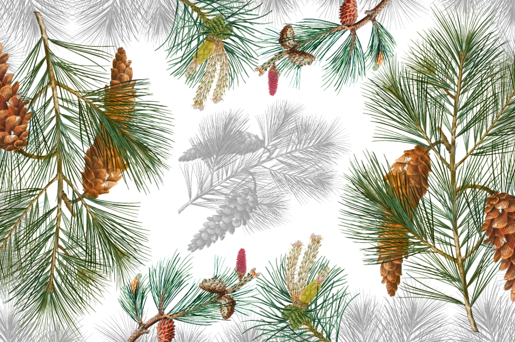 Tablecloths «Le Sapin» 100% Made in Italy