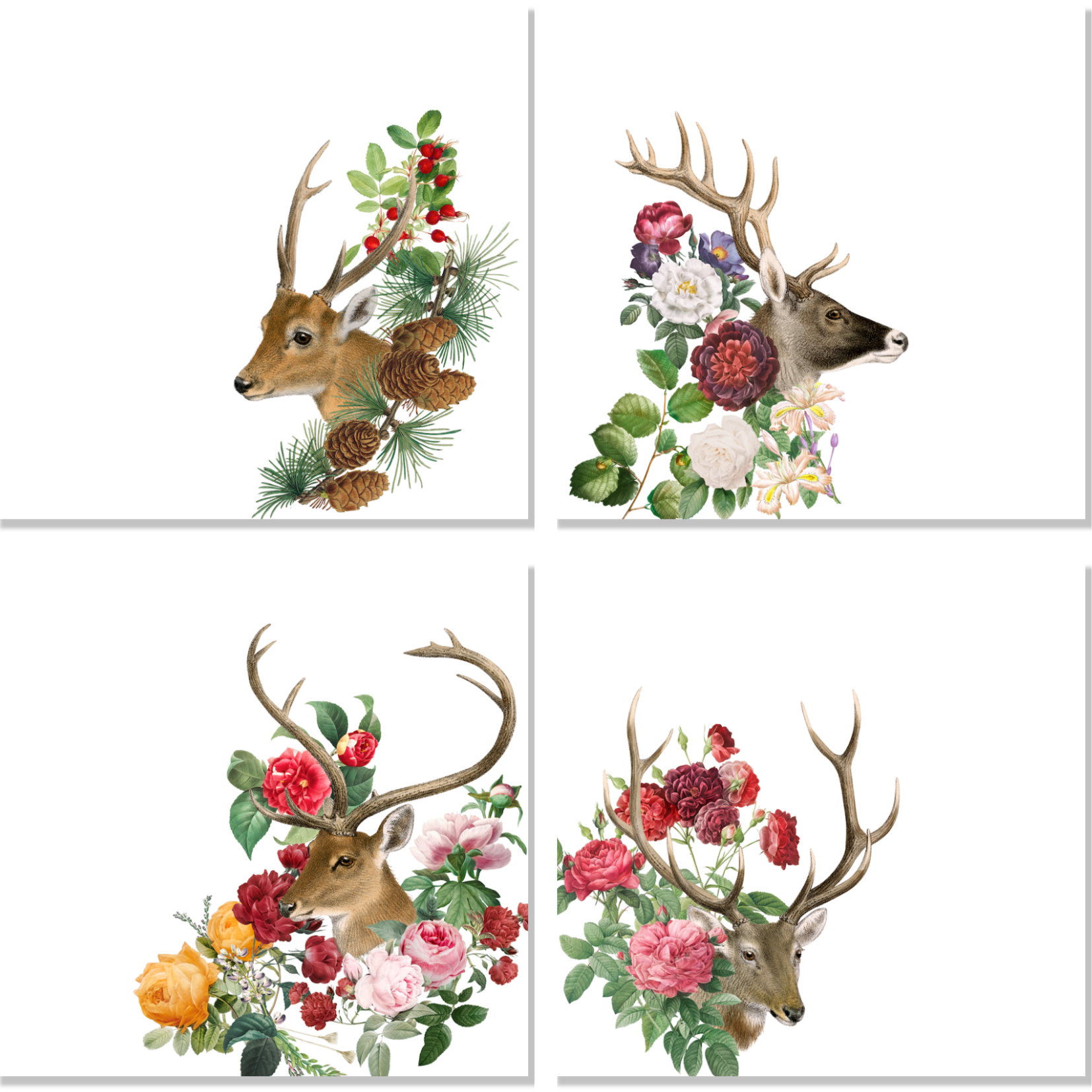 Set of 4 Napkins Cotton Satin Cervi The Napking