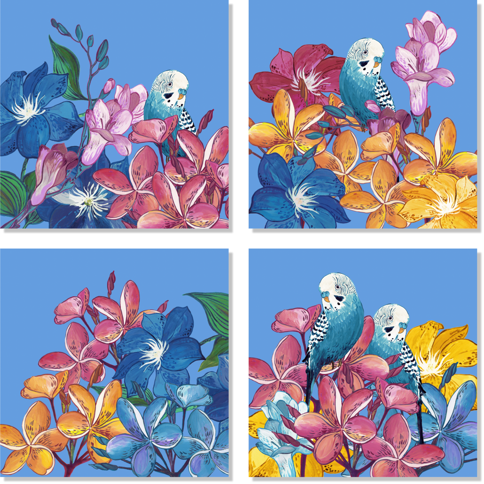 Set of 4 Napkins «Cocorite» 100% Made in Italy