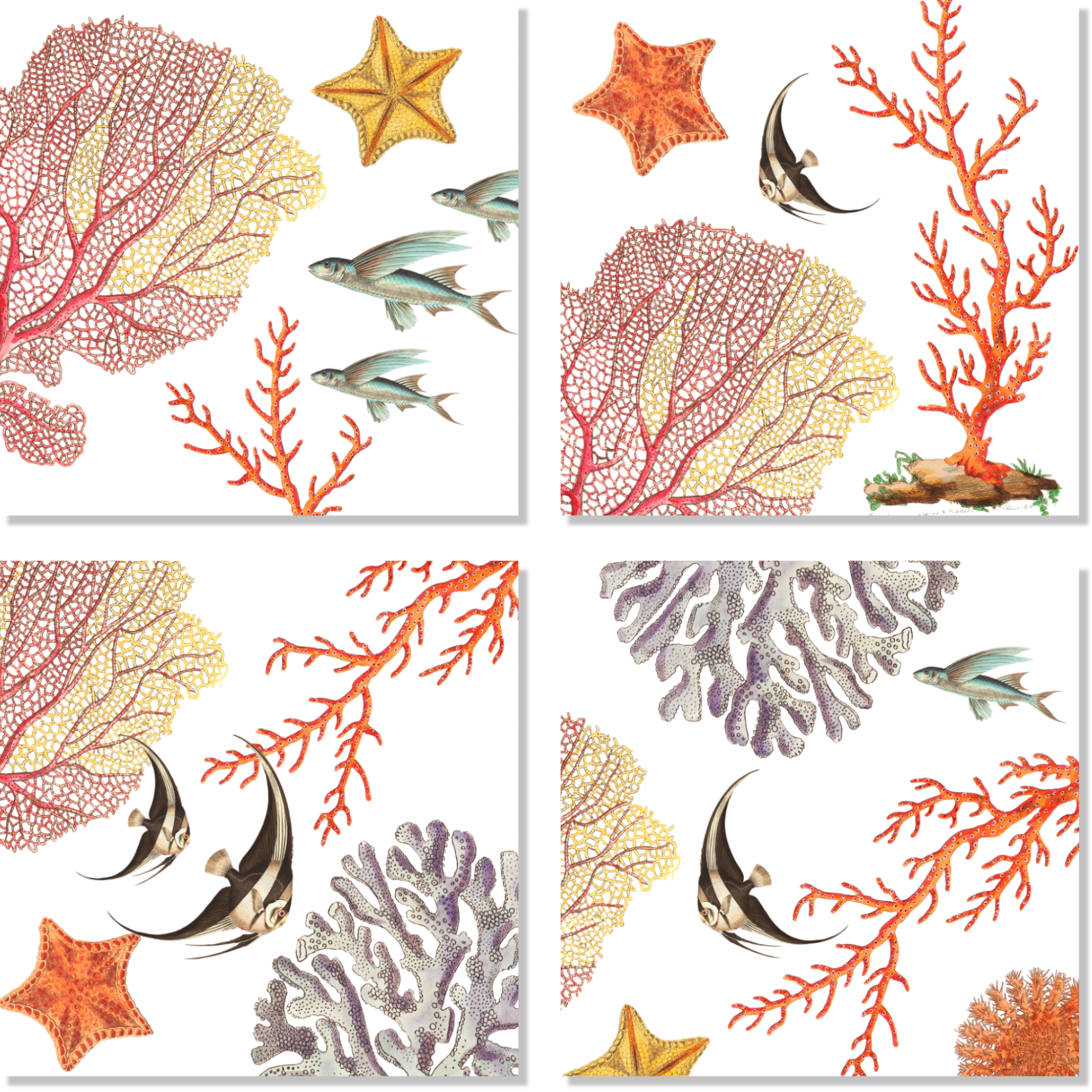 Set Of 4 Napkins «Coral Bay» 100% Made in Italy