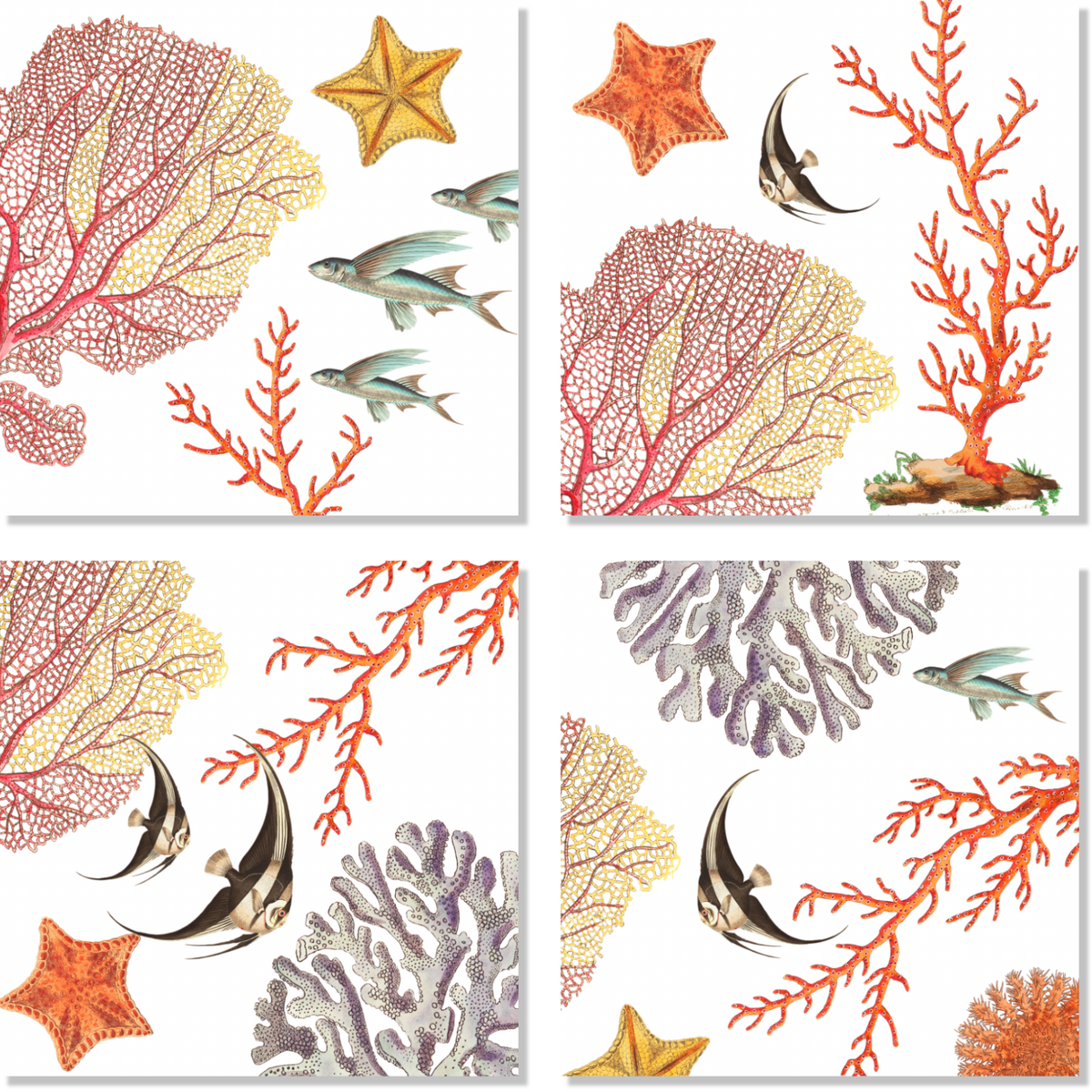 Set Of 4 Napkins «Coral Bay» 100% Made in Italy