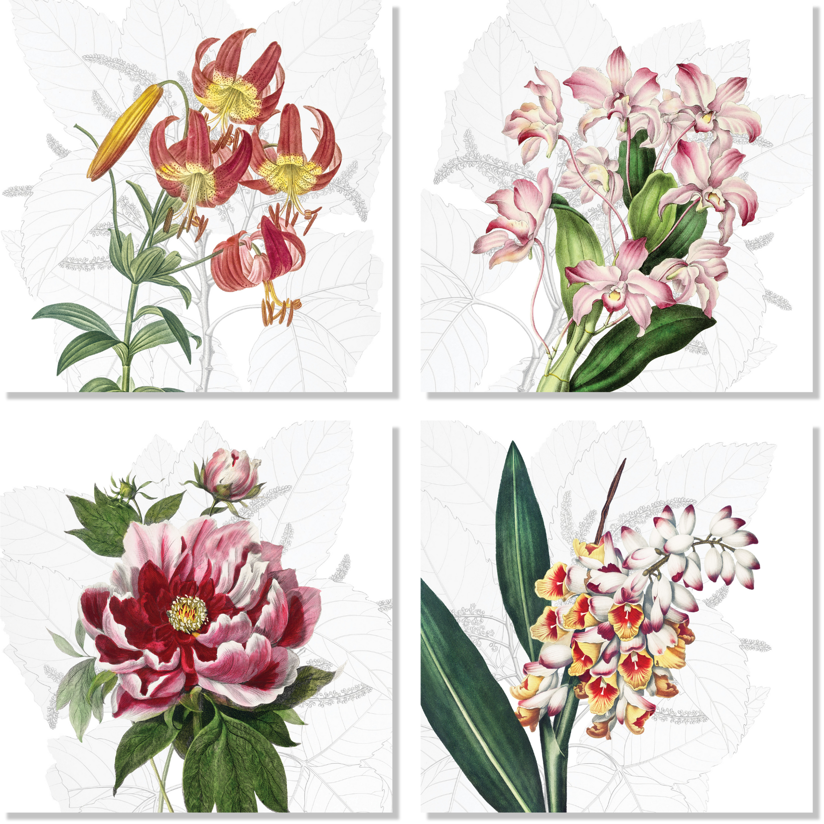 Set Of 4 Napkins Dafne 100% Made in Italy The Napking