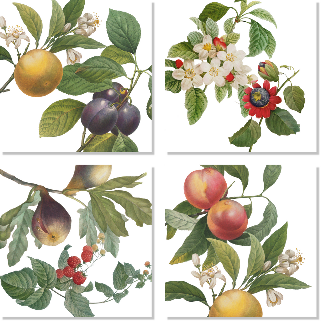 Set of 4 Napkins «Fruit Love» 100% Made in Italy