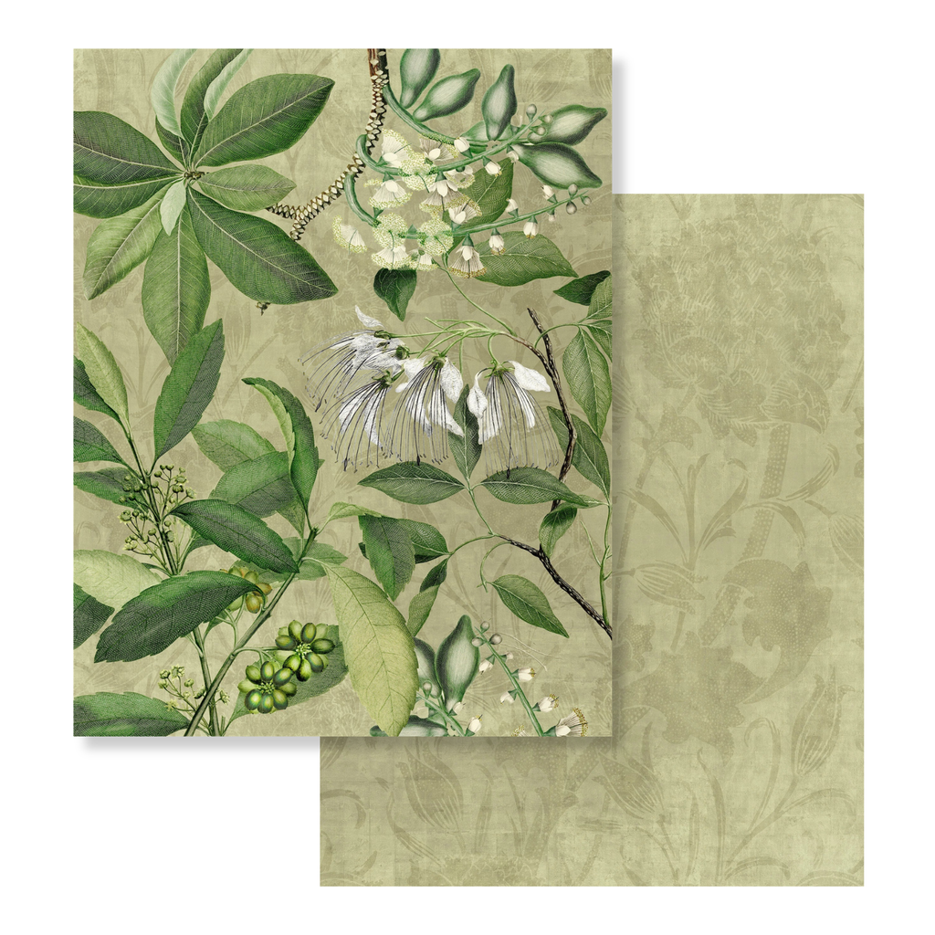 Hedycarya velvet plaid in green variant with botanical print