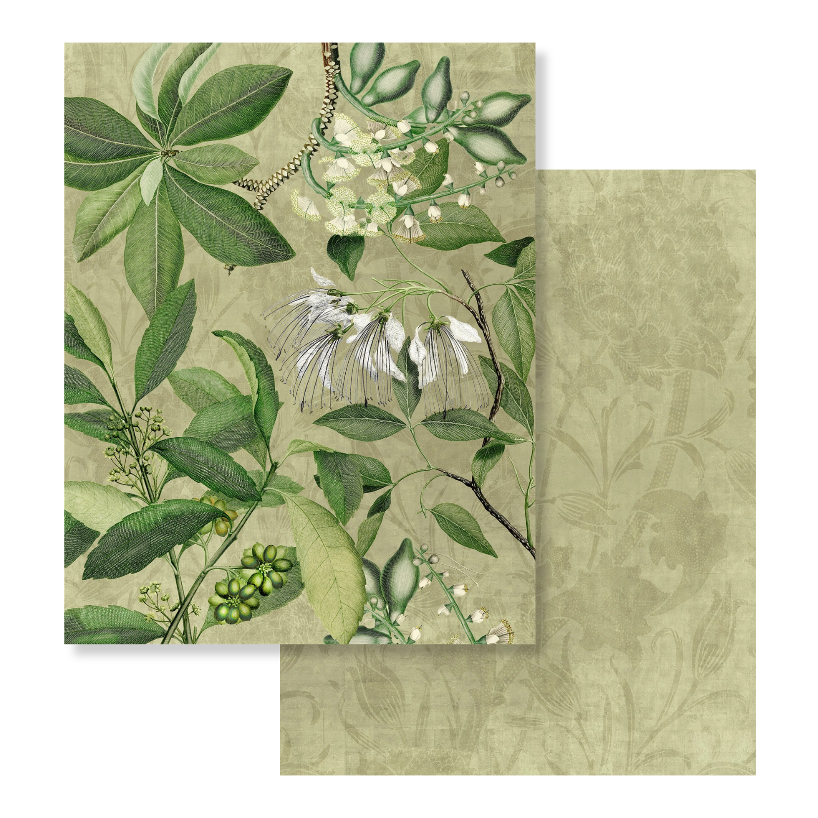 Hedycarya velvet plaid in green variant with botanical print
