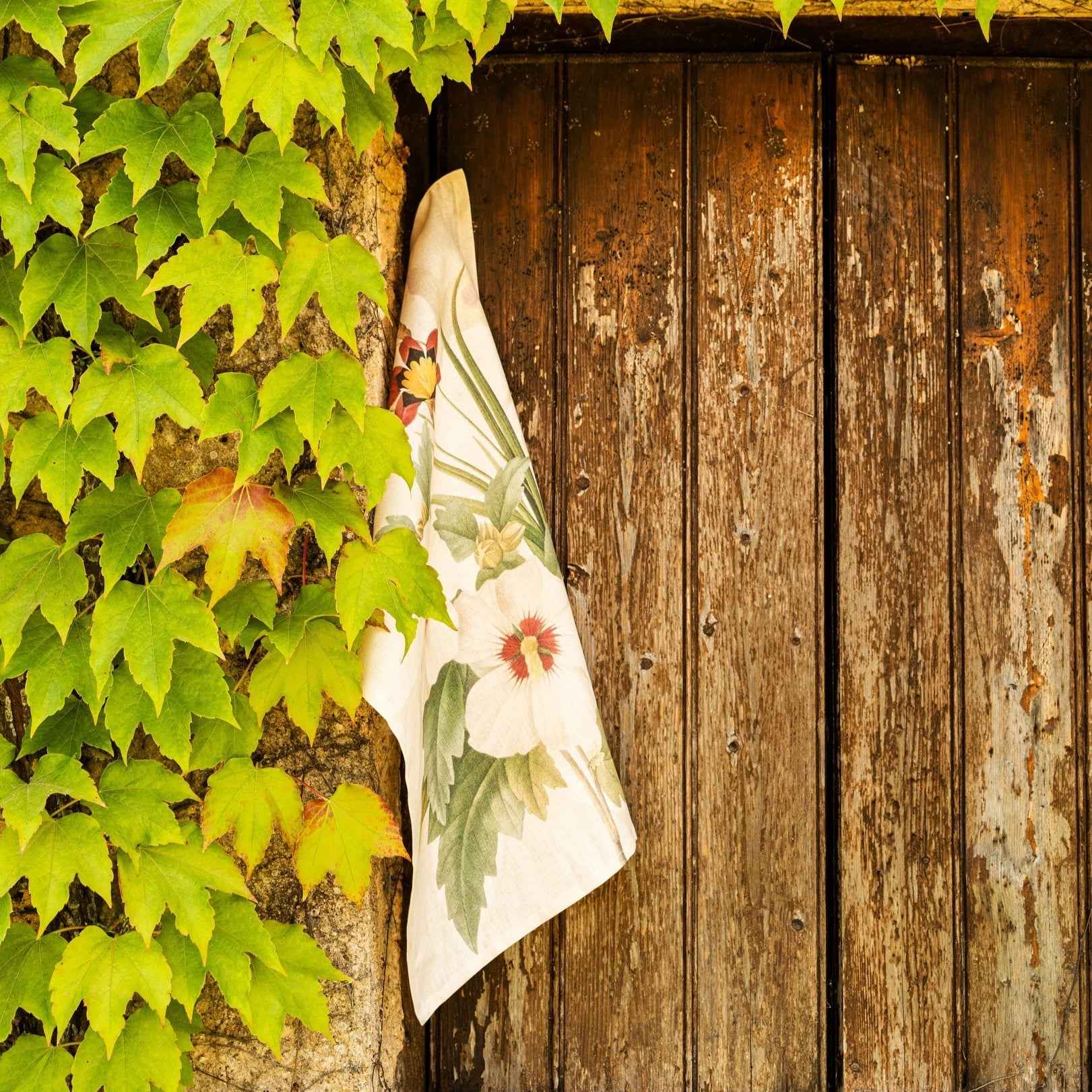 Kitchen Towels «Garden Eden», 100% Made in Italy