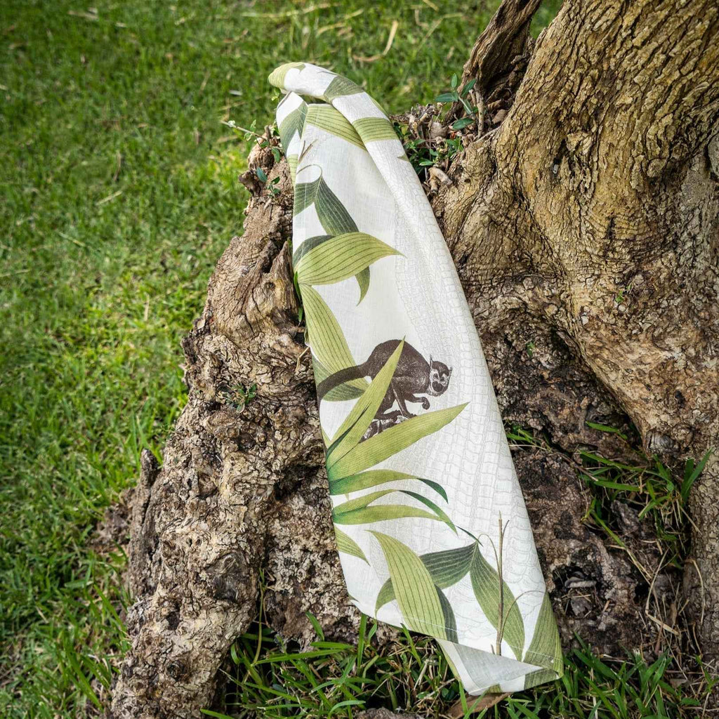 Kitchen Towels «Palmier», 100% Made in Italy