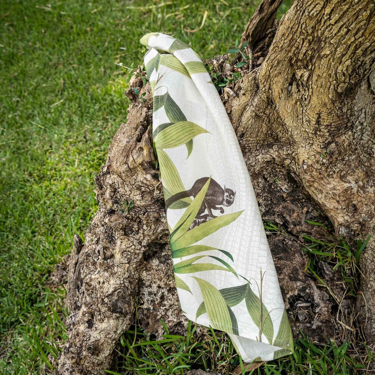 Kitchen Towels «Palmier», 100% Made in Italy