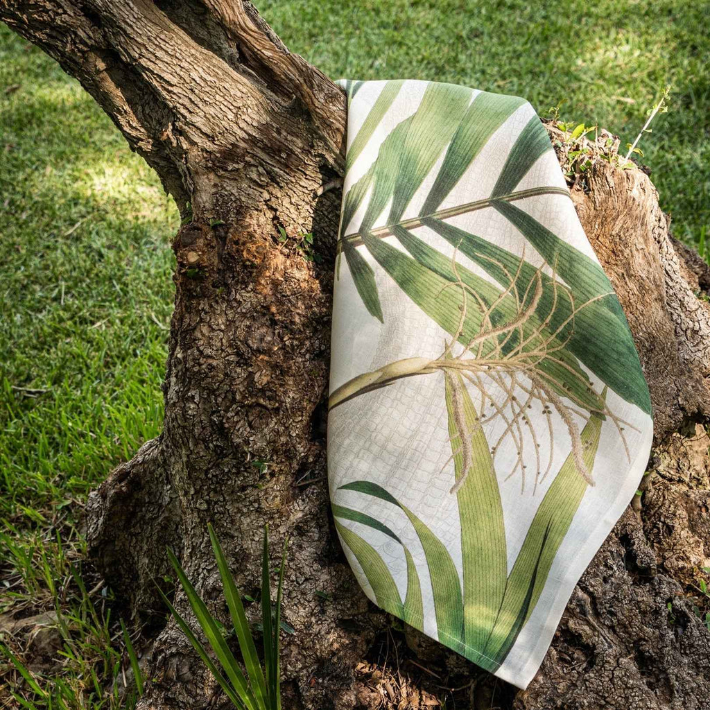 Kitchen Towels «Palmier», 100% Made in Italy