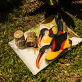 Tray «Toucans», 100% Made in Italy
